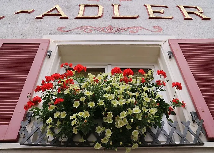 Adler Post